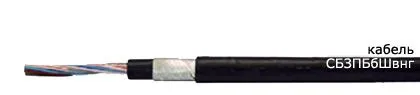 Кабель СБЗПБбШвнг 60х1,4